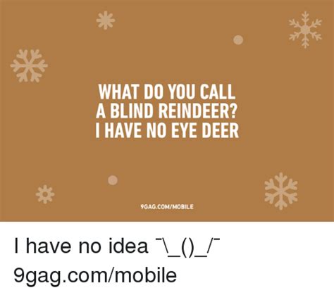 What Do You Call A Blind Reindeer I Have No Eye Deer 9gagcomi Mobile I