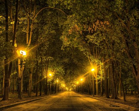 Wallpaper Trees Road Lights Night 3840x2160 Uhd 4k Picture Image