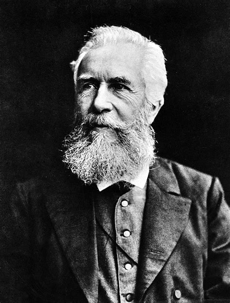 Ernst Haeckel Principales Contributions Scientifiques