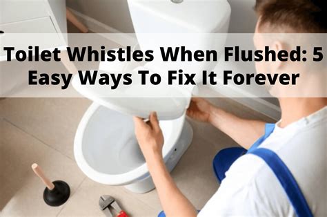 Toilet Whistles When Flushed 5 Easy Ways To Fix It Forever