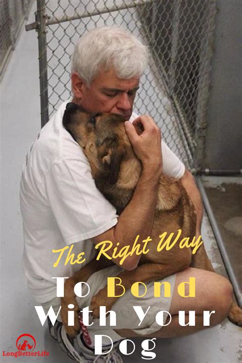 How To Bond With Your Dog Dog Care Pet Dogs Dogs