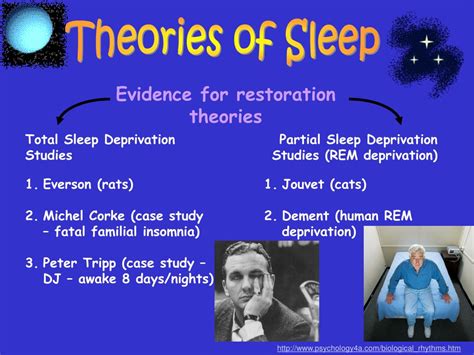 Ppt Theories Of Sleep Powerpoint Presentation Free Download Id632301