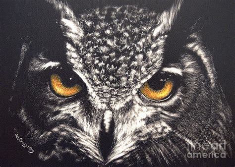 Night Owl Drawing By Lora Duguay Fine Art America