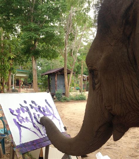 Do Elephants Like To Paint Are They Trained Elephant Art Gallery