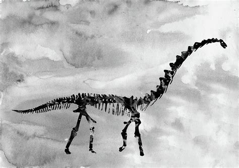 Rapetosaurus Skeleton High Neck Digital Art By Erzebet S Pixels