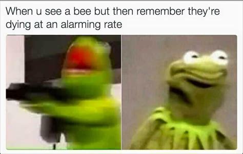 When U See A Bee But Remember They Re Dying At An Alarming Rate