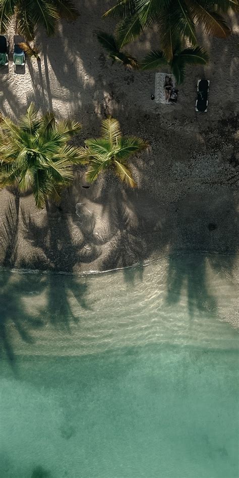 Download Exotic Beach Palm Trees Drone View 1080x2160 Wallpaper