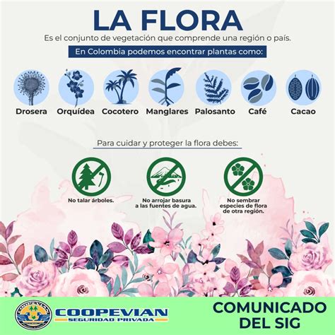 por el bienestar de todos aprende a cuidar la fauna y la flora coopevian cta