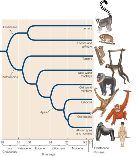 Figure 2354