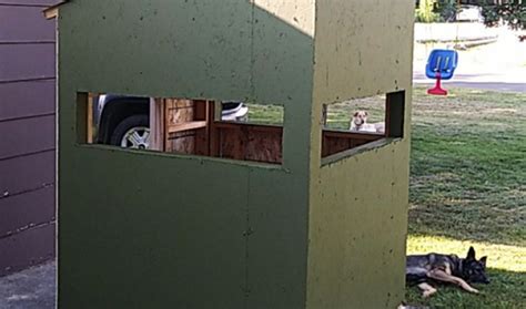 5x5 Deer Blind Diy Project Howtospecialist How To