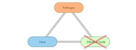 Infectious Disease Control And Architectural Design Mep Engineering