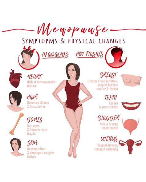 the 3 stages of menopause vitalize magazine