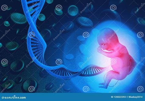 Dna With Fetus Stock Illustration Illustration Of Interactive 120022393