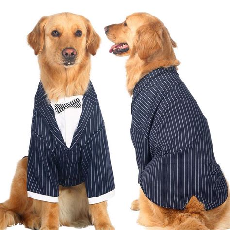 Striped Large Dog Tuxedo Big Dog Suit Clothes With Bow Tie Golden Husky