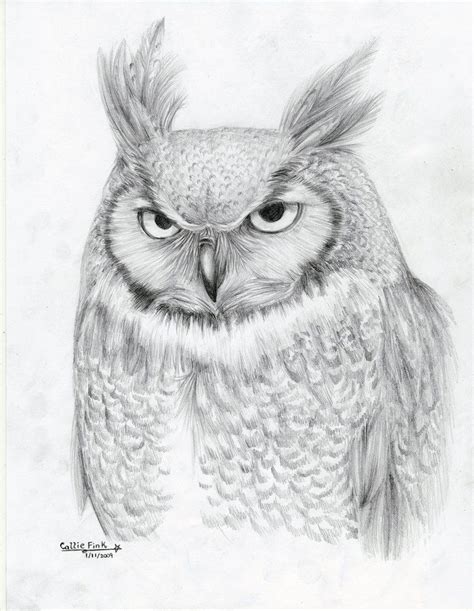 Great Horned Owl By Calliefink On Deviantart Drawings Bird Drawings