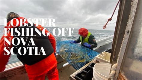 Lobster Fishing Off Nova Scotia Youtube