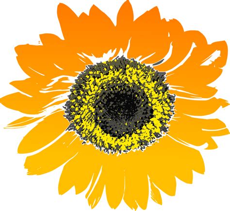 Download OnlineLabels Clip Art - Sunflower
