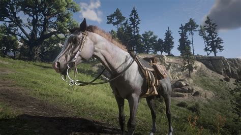 Kids, what happens in the kremlin stays in the kremlin. Red Dead Redemption 2: How To Get All Best Horse In Chapter 2