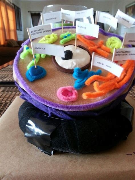 An easy, memorable activity to get kids excited about science. 3d animal cell project | Animal cell project, 3d animal ...