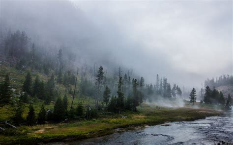 Landscape Nature Yellowstone National Park Forest River Mist