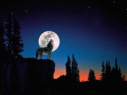 Moon Wolf Howling Desktop Witchy Harvest Mond