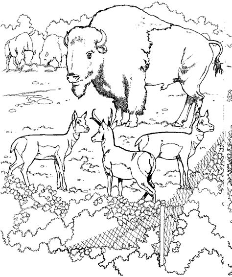 Zoo Coloring Pages - Coloringpages1001.com