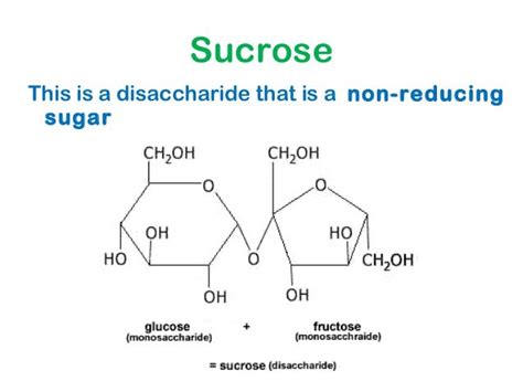88 Glucose Reducing End Structure Structureofglucose1