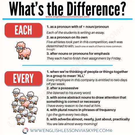 Difference between EVERY and EACH - Learn English Grammar Rules