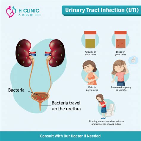 Urinary Tract Infection Uti H Clinic