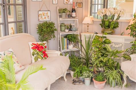 Raised gardens in small spaces. Planting ideas for small spaces / RHS Gardening