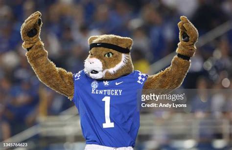 Kentucky Wildcat Mascot Photos And Premium High Res Pictures Getty Images