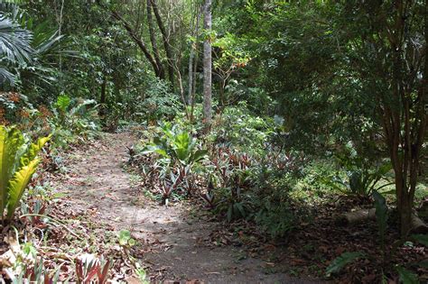 Maya Forest Is A Garden Mesoamerican Research Center
