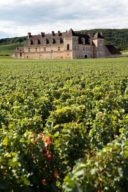 Premium Photo Vineyard Chateau Burgundy France