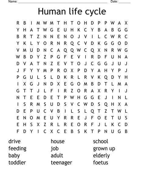 Human Life Cycle Word Search Wordmint