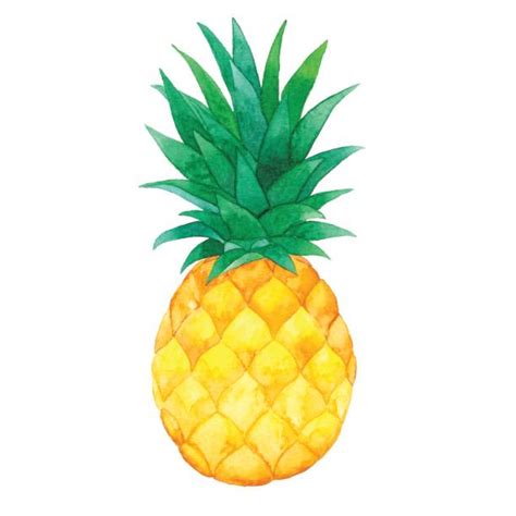 Top Pineapple Clip Art Vector Graphics And Illustrations