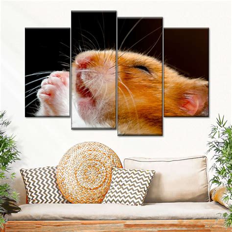 Praying Hamster Wall Art Photography