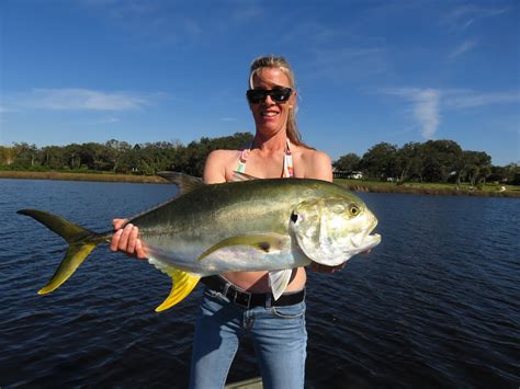 How To Catch Jack Crevalle Tips From A Florida Guide Siesta Key