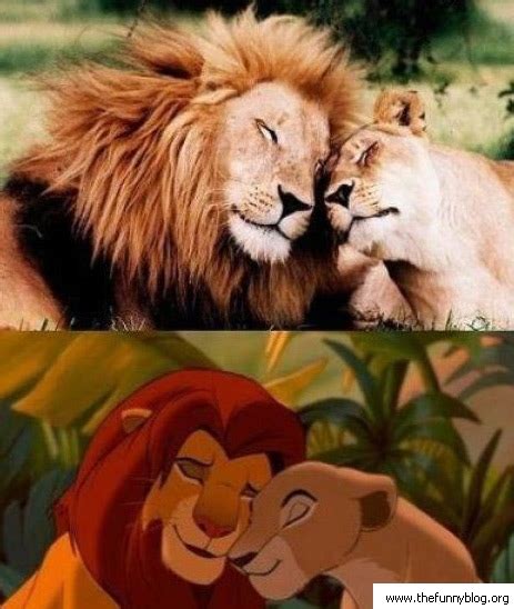Simba Nala Lion King Couples Photo 32182898 Fanpop