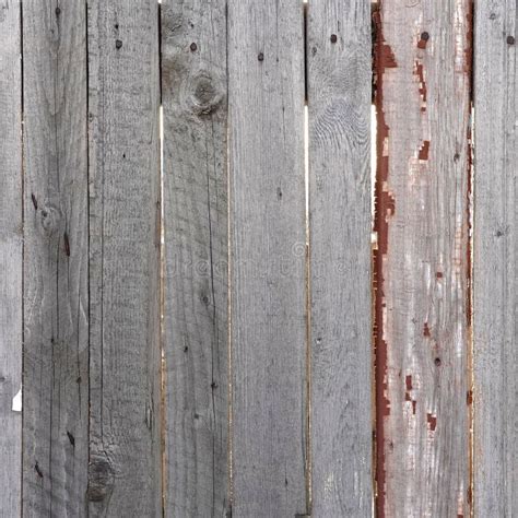 Old Gray Wooden Fence Weathered Texture Close Up Of Vertical Wooden Fence Wall Stock Photo
