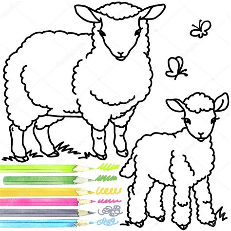 Sheep And Lamb Coloring Book Sheep Sheep Outline Drawing Sheep And