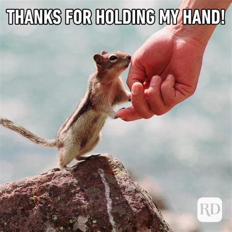 12 Kindness Memes That Spread Cheer — Funny Memes About Kindness