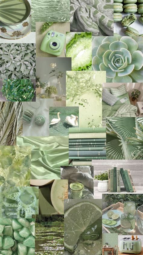 Sage Green Wallpapers Chromebook ~ Sage Green By Vaalerialeandra In