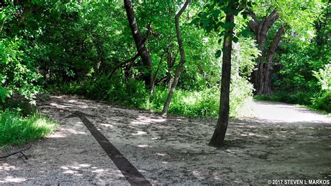 Theodore Roosevelt Island Woods Trail Upland Trail Loop Hike
