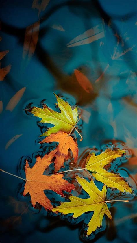 69 Best Fall Screen Saver Images On Pinterest