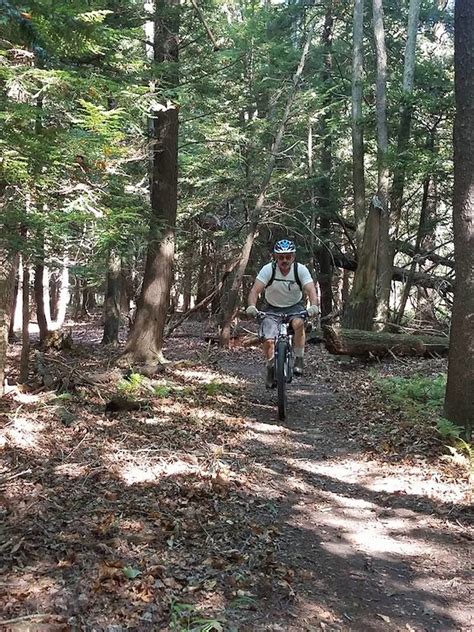 Yellow Creek State Park Mountain Biking Trails Trailforks