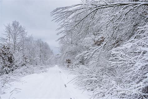 Snow And Country Road Photograph By Thomas R Fletcher