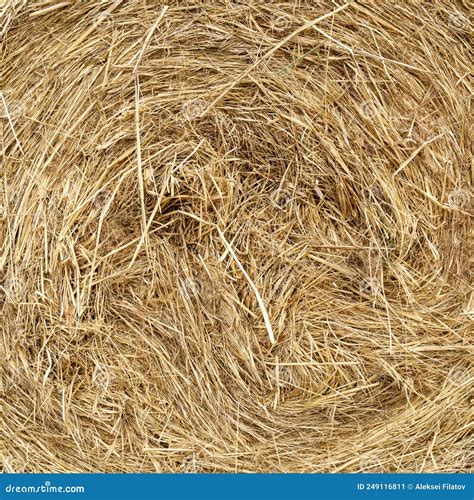 Dry Grass Straw Background Texture Natural Background Of Dry Straw And