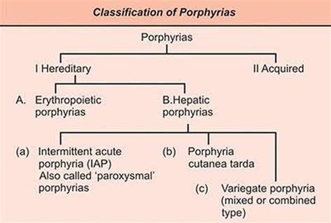 Classification Of Porphyrias Medizzy