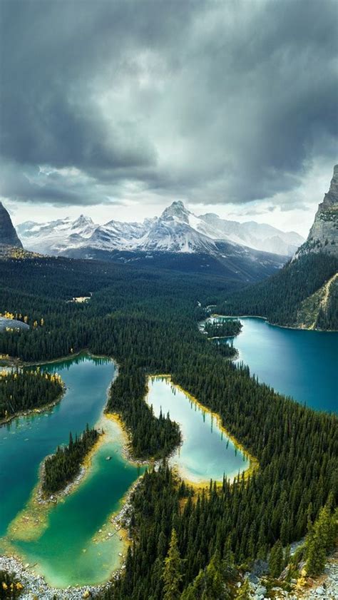 Lake Ohara Yoho National Park Backiee