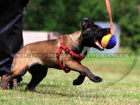 Dog Tug Training Toy For Puppy Soft Toy For Dog £1485